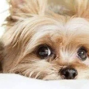 Meet your Posher, Burnice